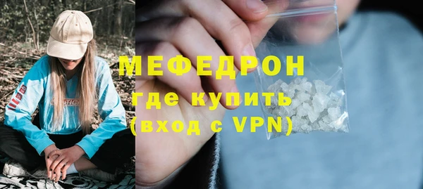 индика Каменка