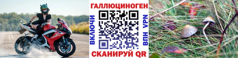 Галлюциногенные грибы мицелий  магазин продажи   Мензелинск 
